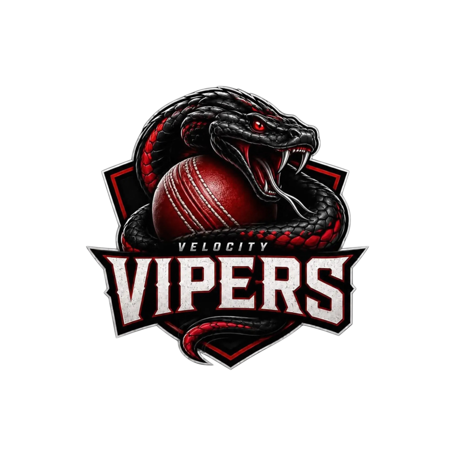 Velocity Vipers team logo